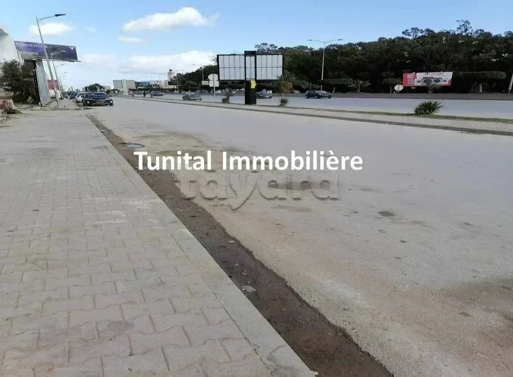 selected image