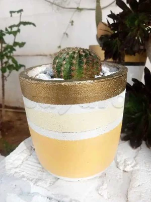 pot à fleur avec cactus globulaire 
