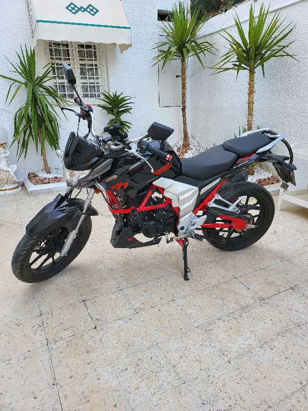 dt 125cc
