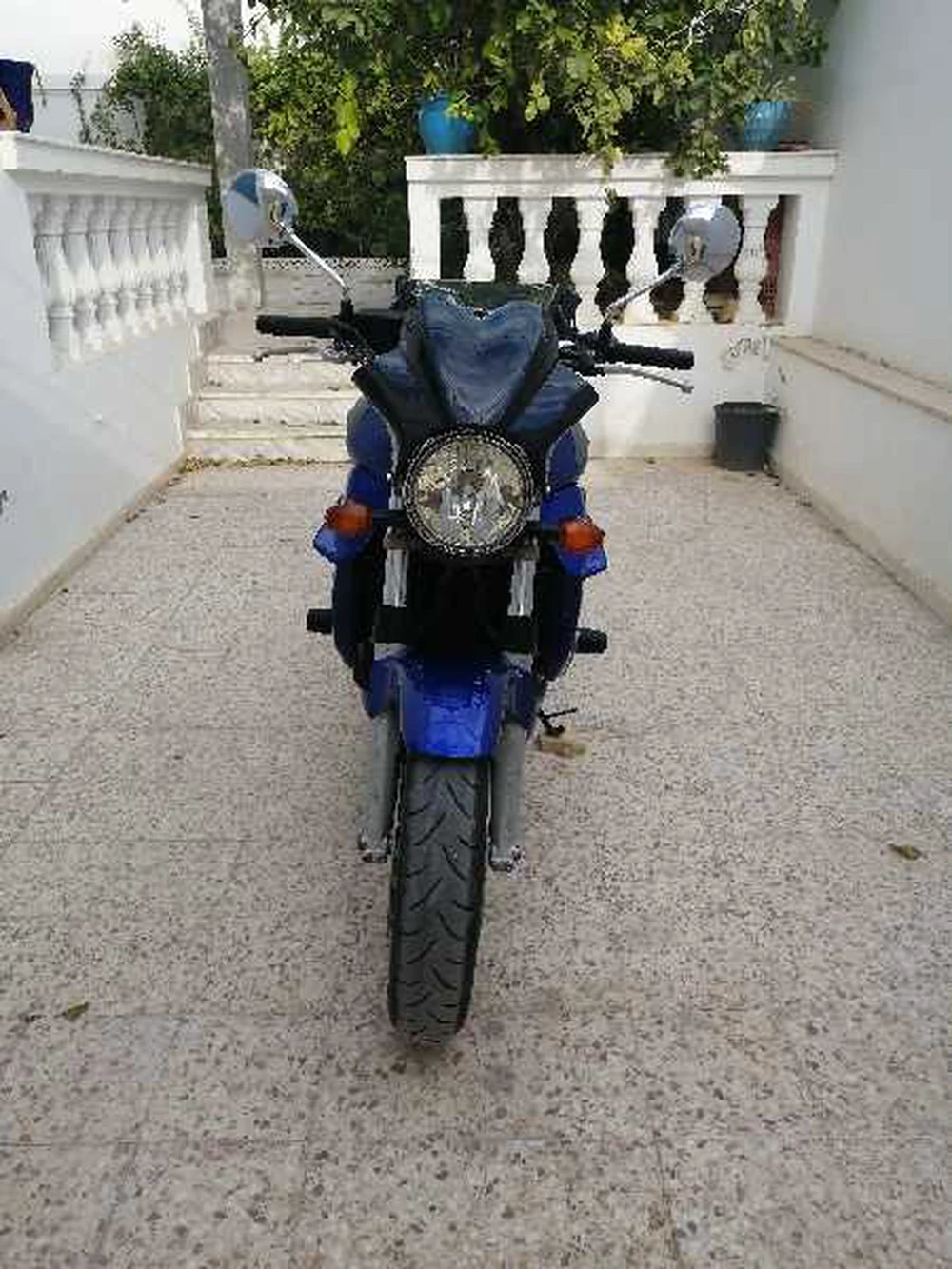 selected image