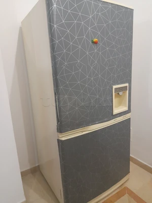 Réfrigérateur Combiné Samsung