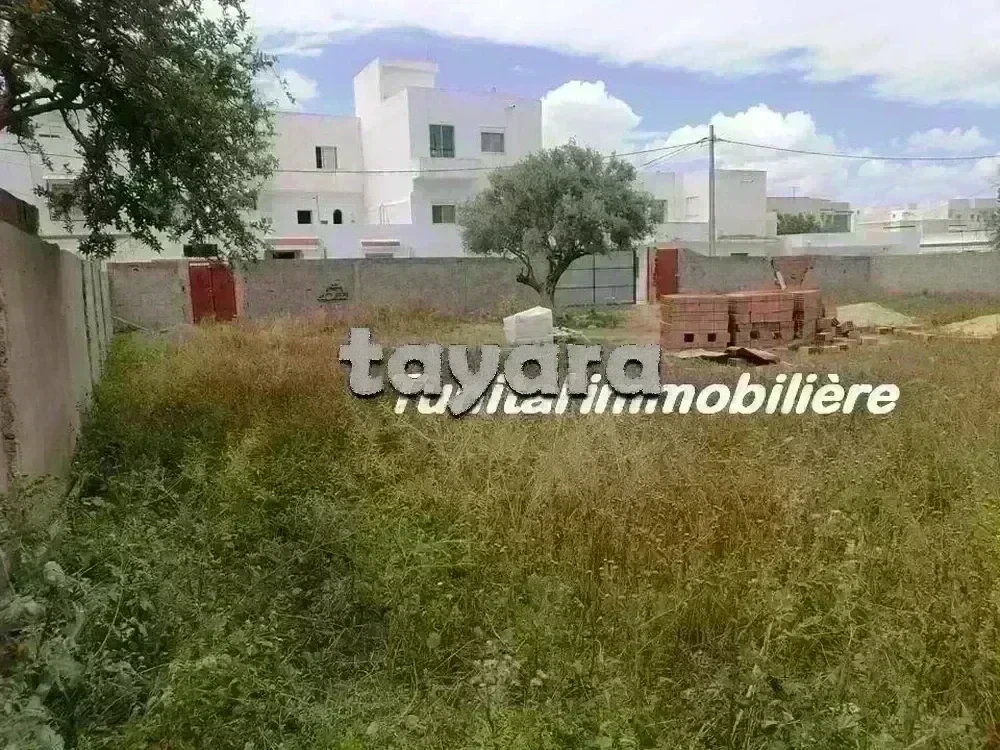 selected image