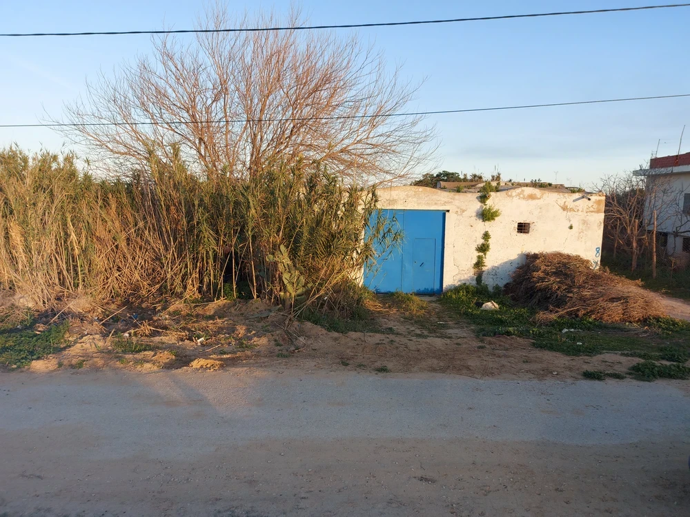 selected image