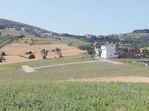 Terrains à vendre à Bizerte à prix imbattable