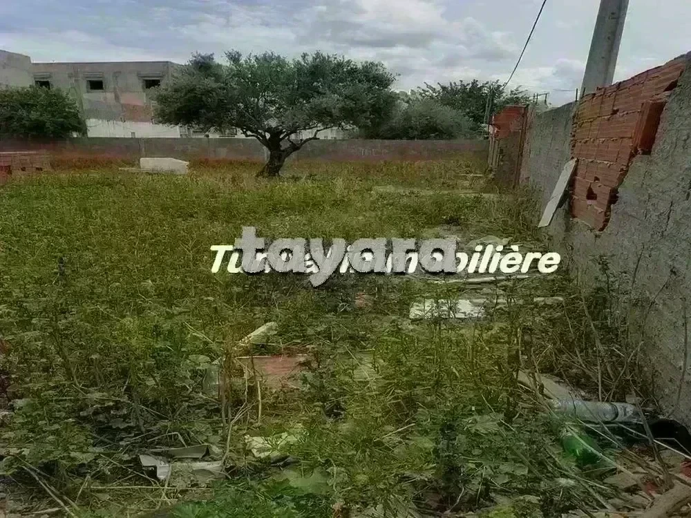 selected image