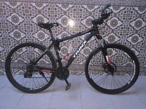 vélo marque Trinx taille XL 29 pouces