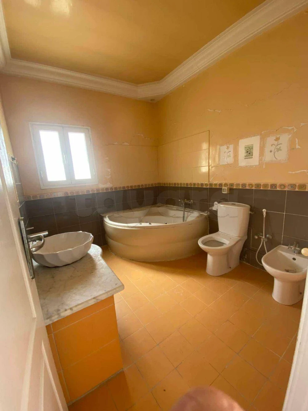 selected image