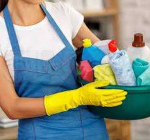 Femme de ménage cherche un emploi par jour ou par mois 