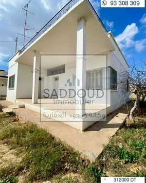 à vendre  terrain avec une ancienne  maison  à route Taniour km 8 , Markaz ammar 