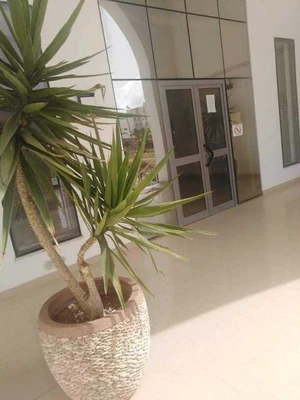 S+2  H.S Wifi, 3 clim. Plage, zone Touristique 