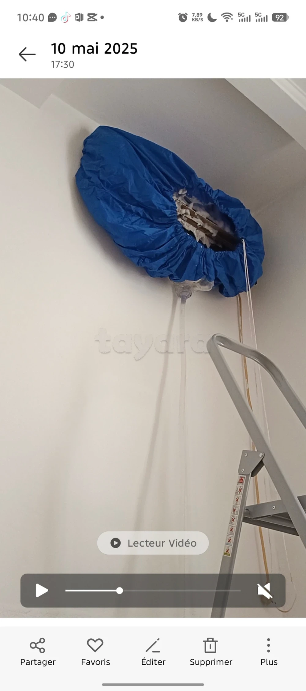 tayara - Selected image backdrop