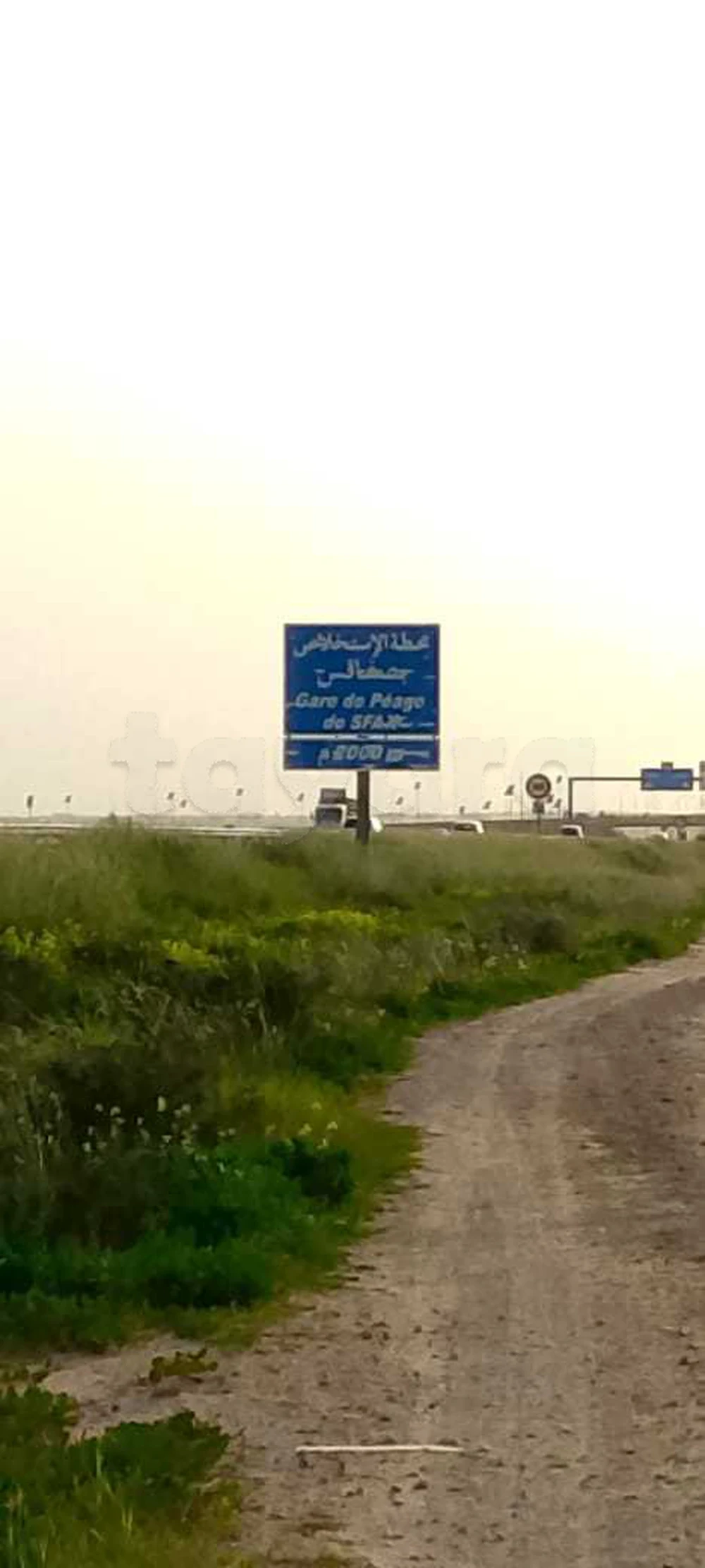 selected image