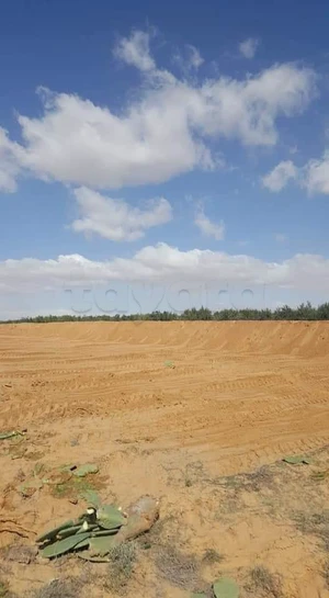 Terrain Agricole Gafsa