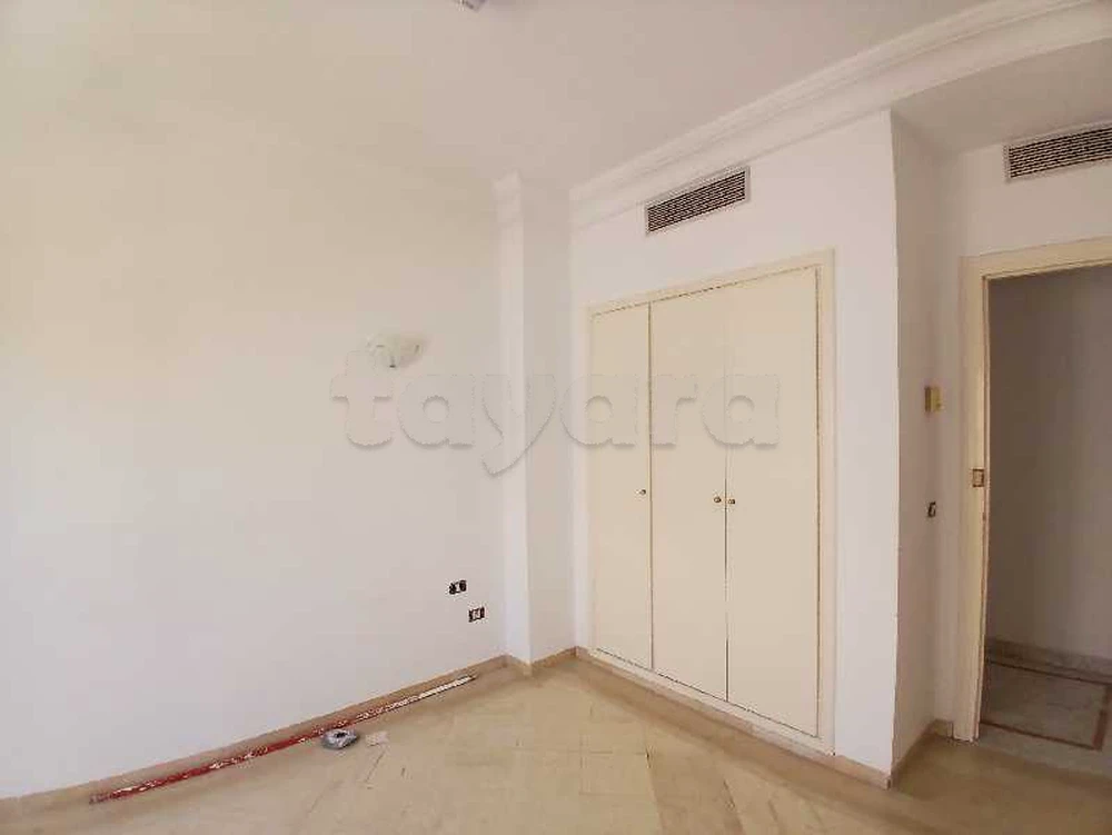 tayara - Selected image backdrop