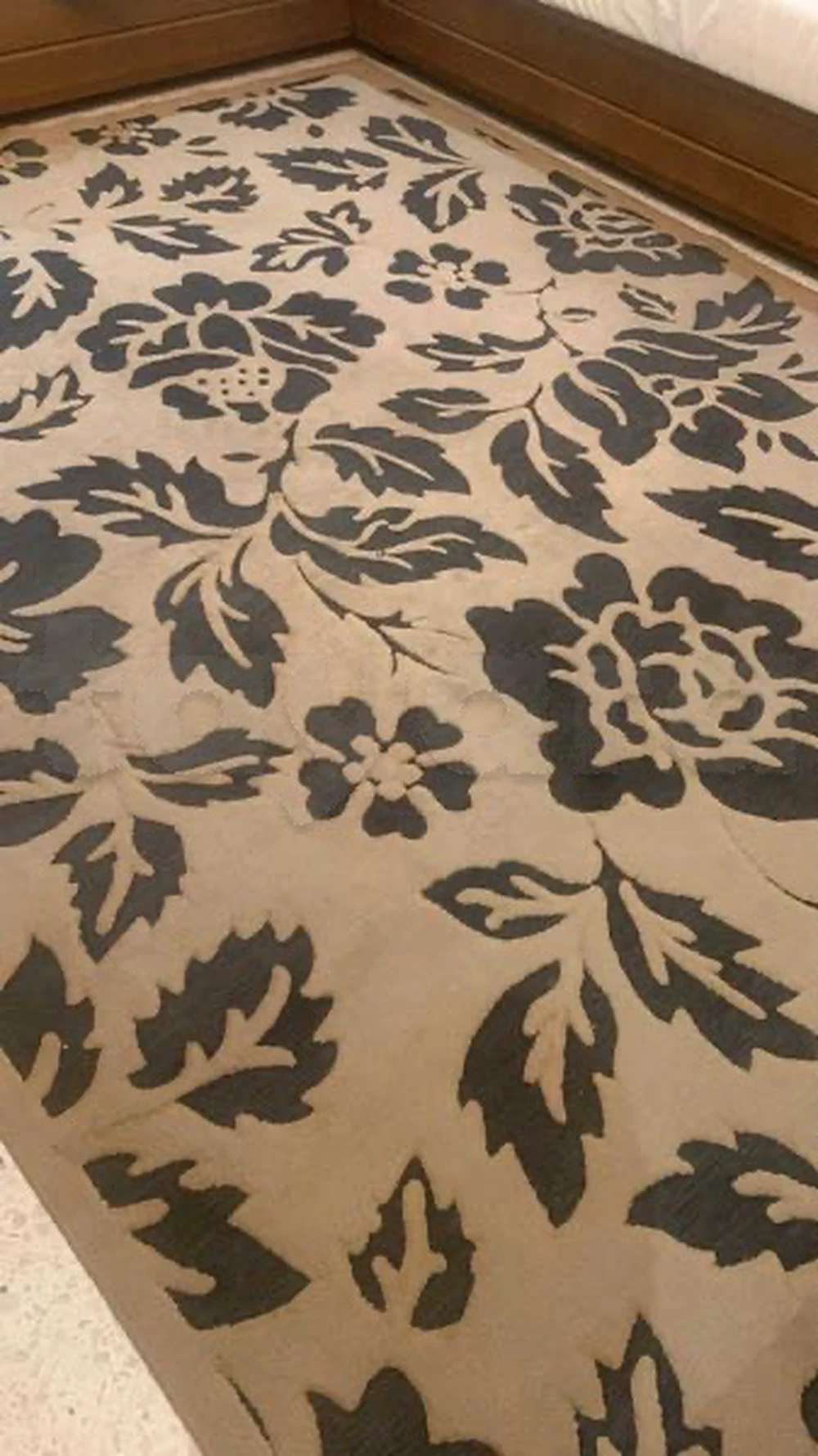 tayara - Selected image backdrop