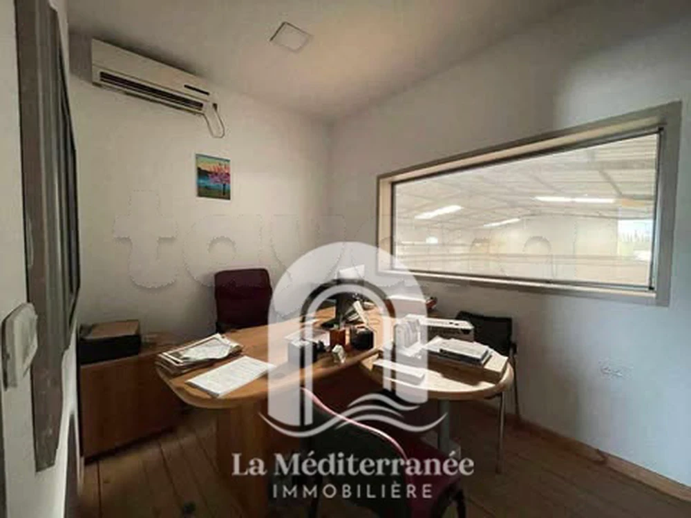 selected image