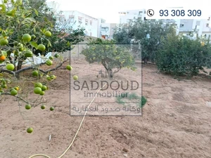 À vendre terrain R+2 avec maison à démolir 1314m² à Route El Ain klm 2.5 ,zanket hsairi 