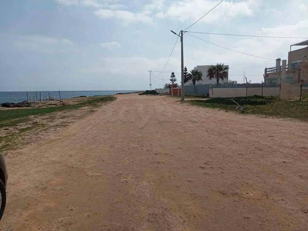 selected image