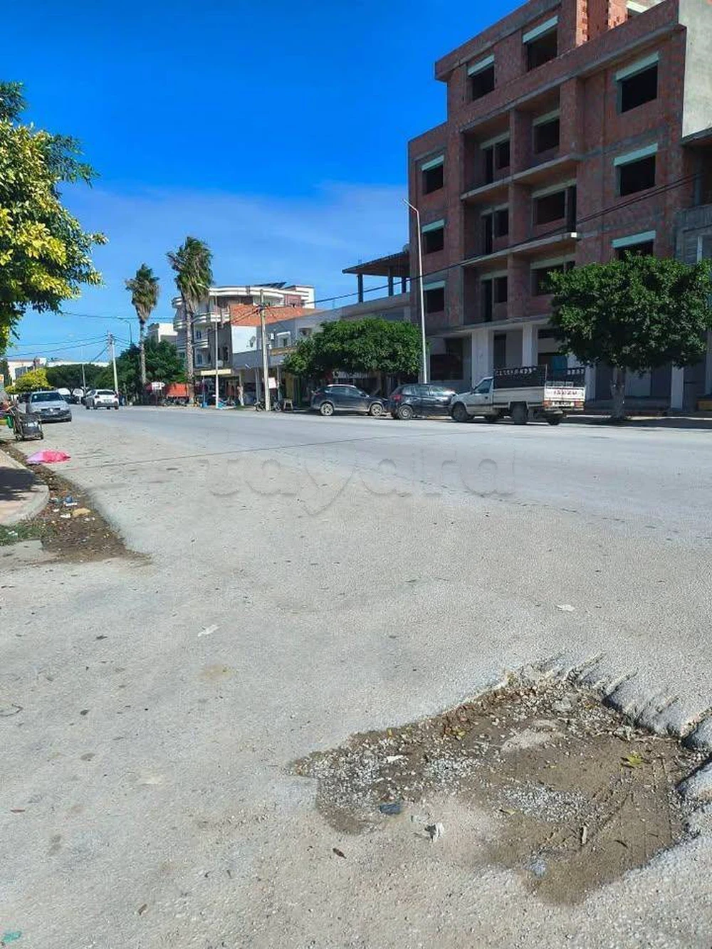 selected image