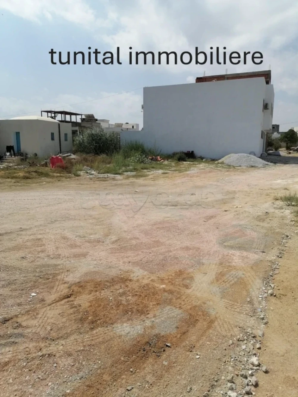 selected image