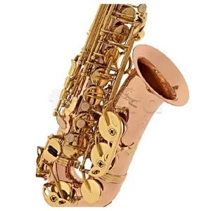 Saxophone alto Odyssey OAS700 neuf  