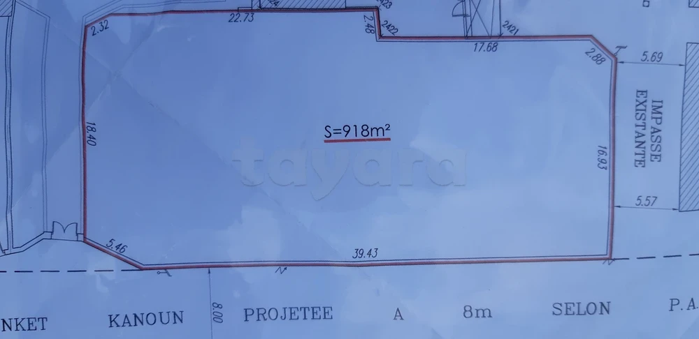 tayara - Selected image backdrop