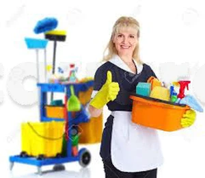 offre d emploi femme de ménage à manzah 6 