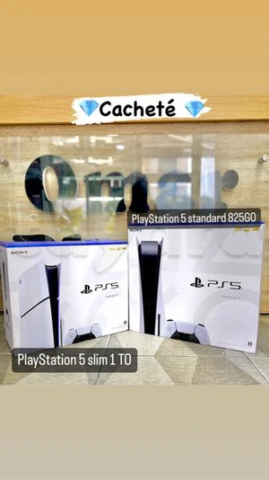 Playstation 5 Slim et Standard Cachete 