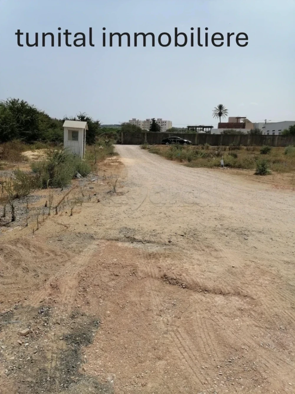 selected image