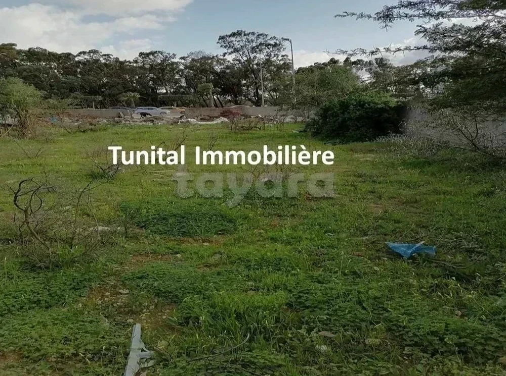 selected image