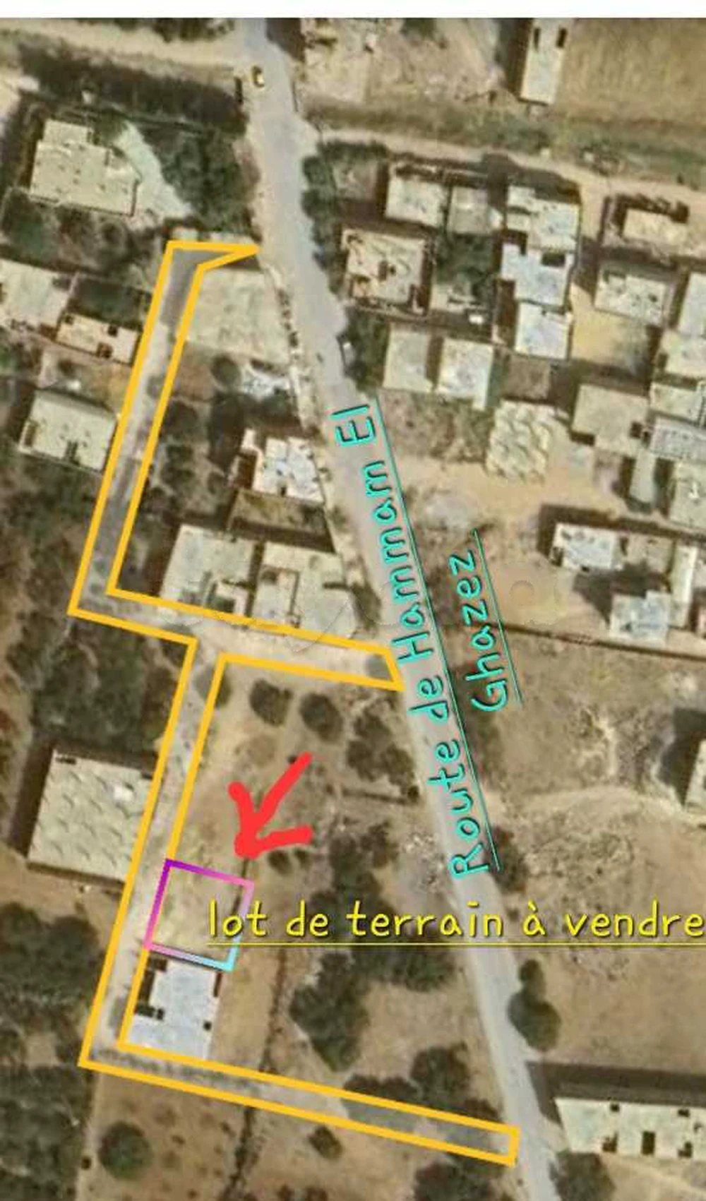 selected image