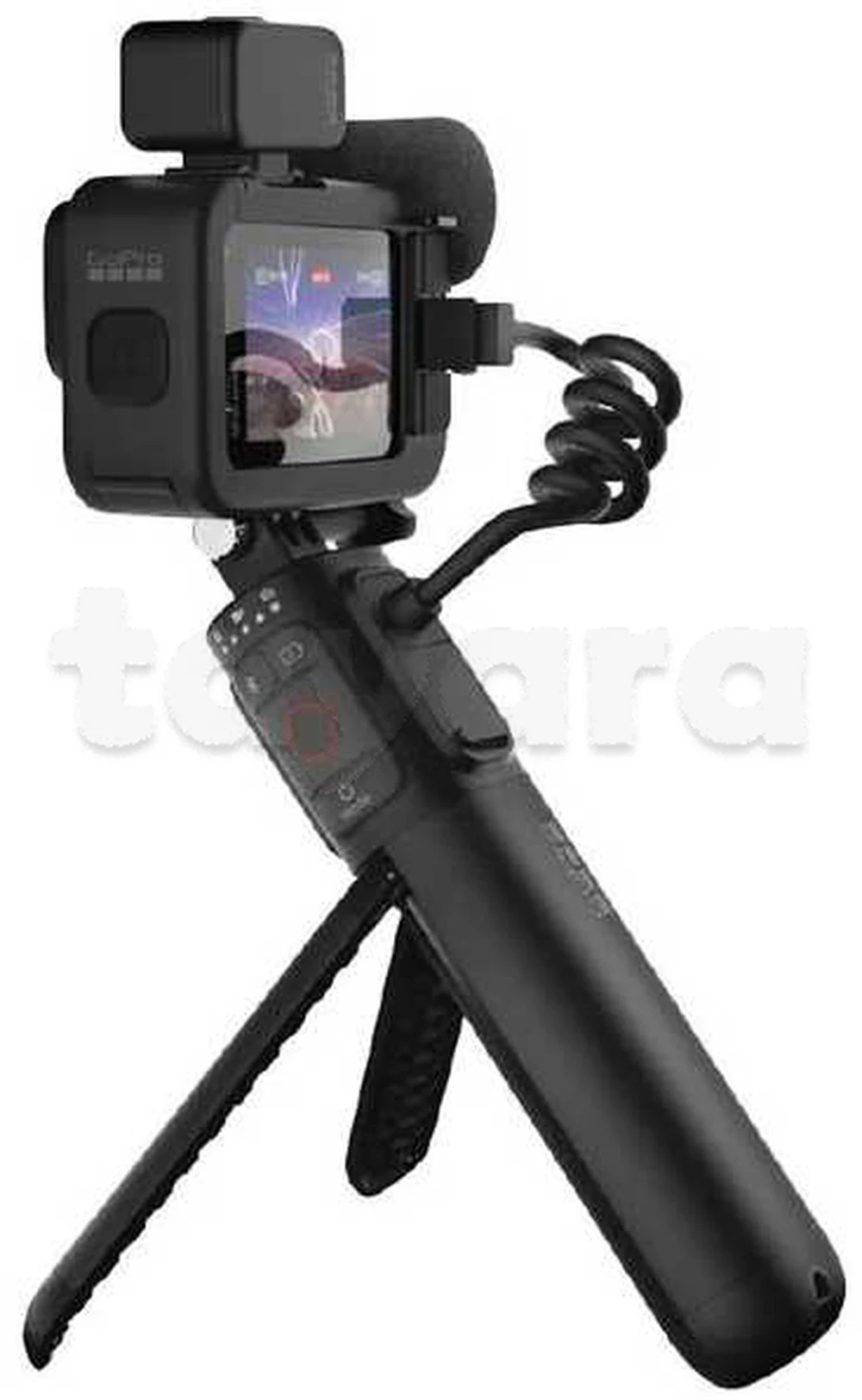 tayara - Selected image backdrop