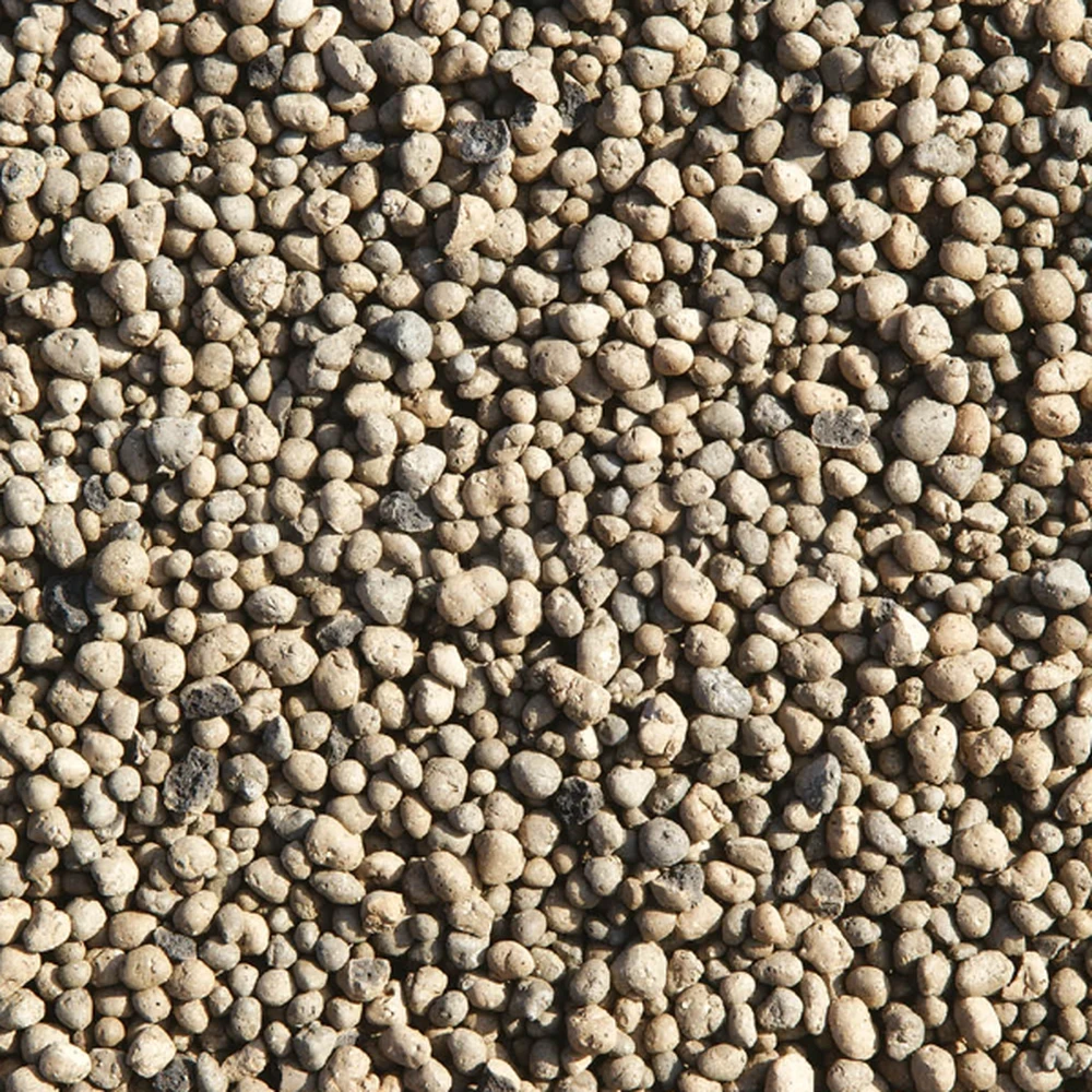 tayara - Selected image backdrop