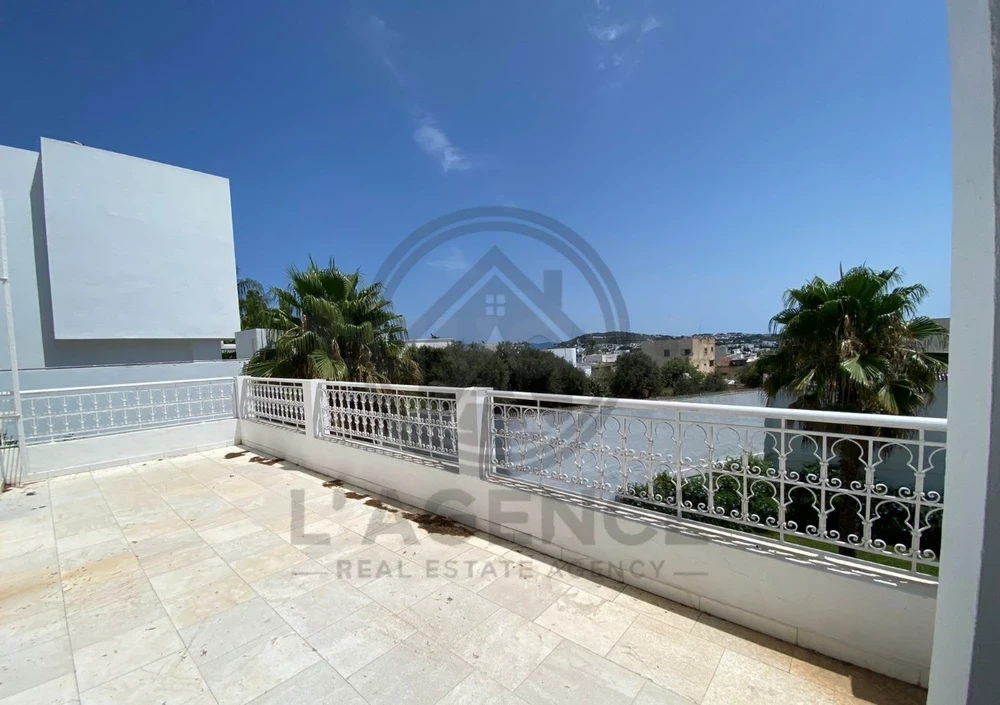 tayara - Selected image backdrop