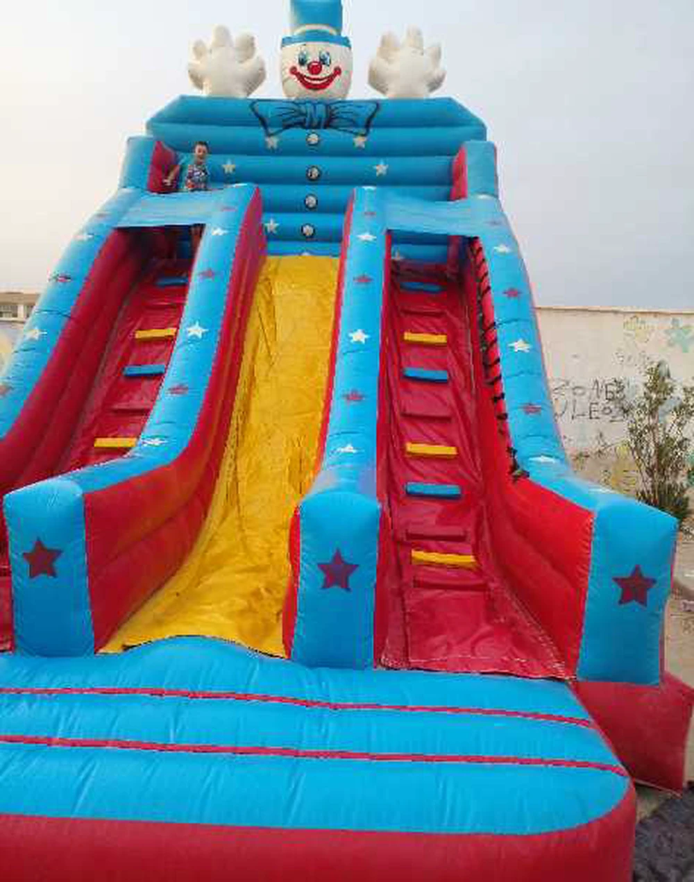 selected image