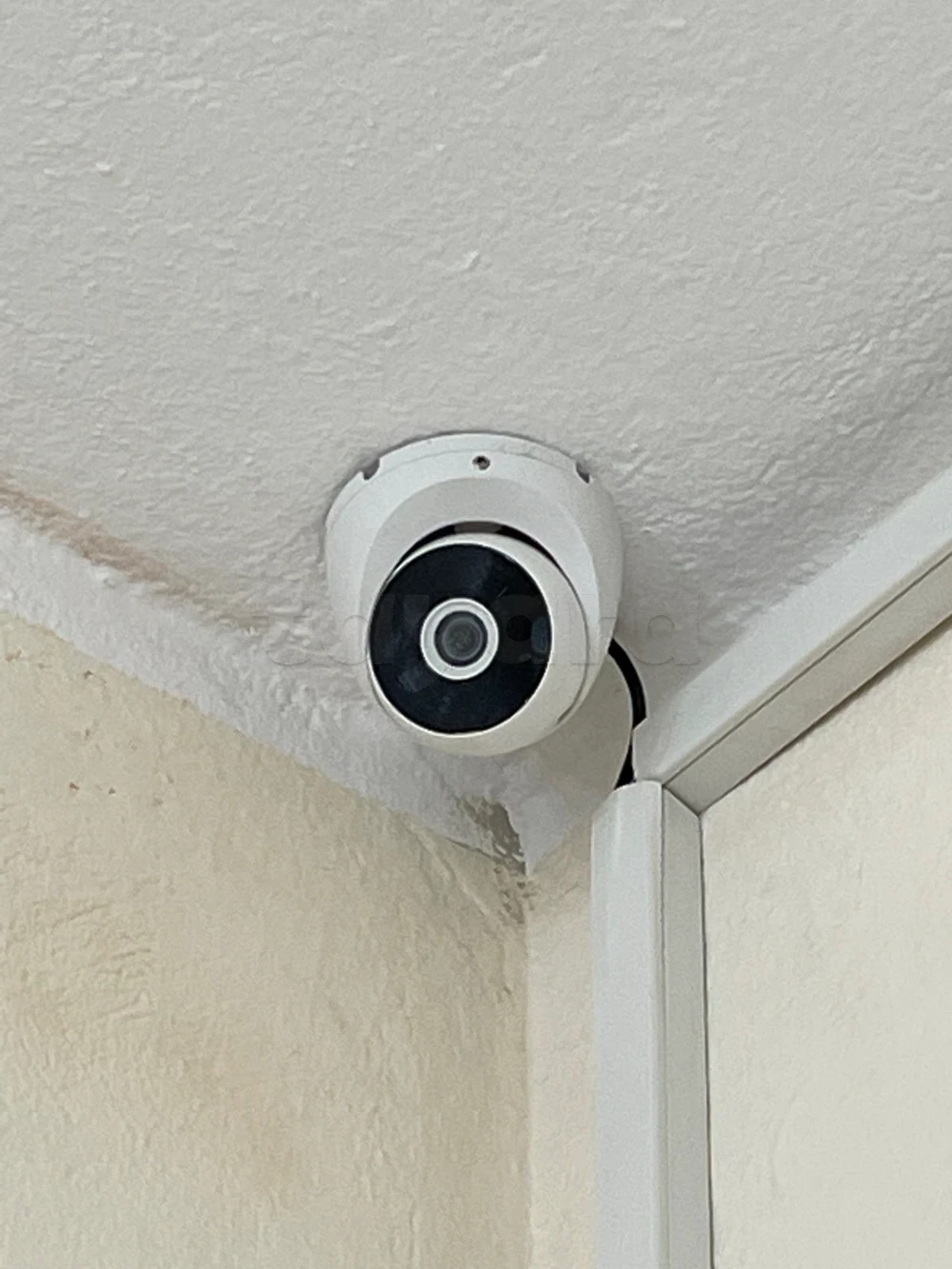 selected image