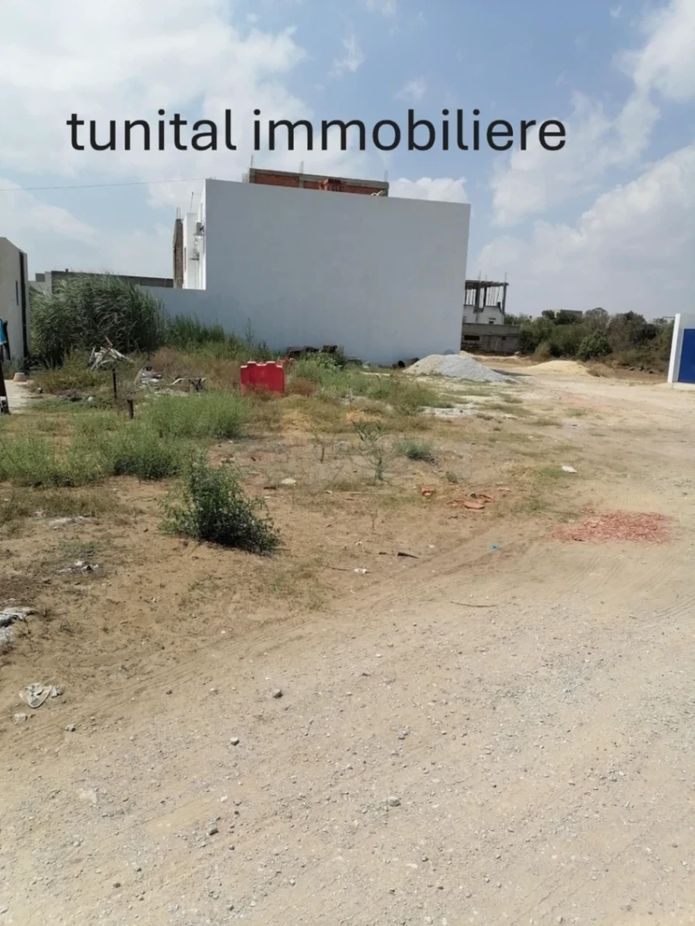 selected image