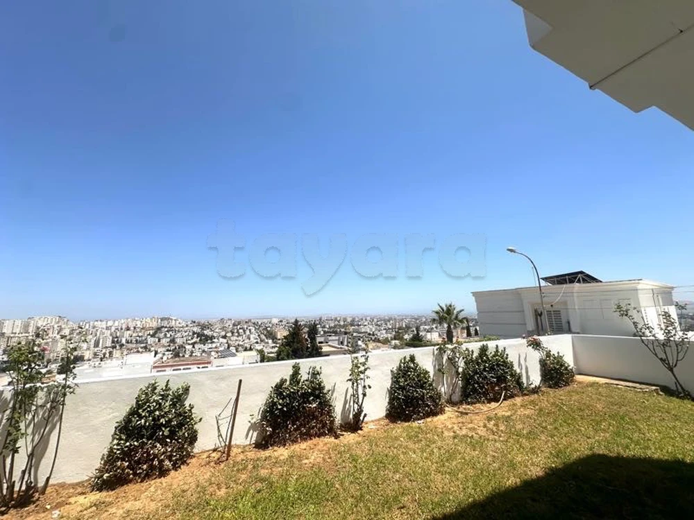 tayara - Selected image backdrop