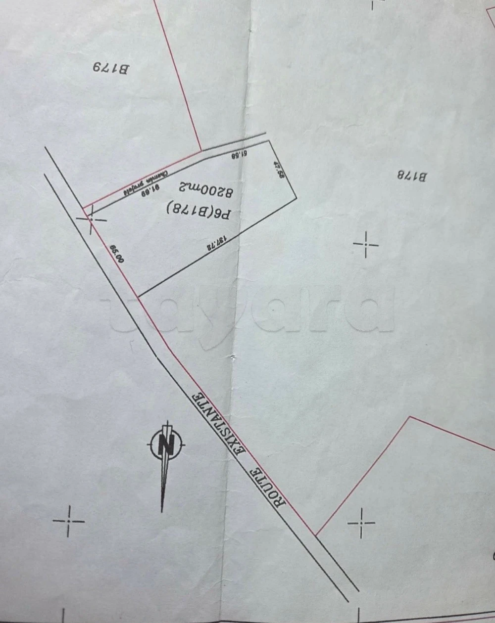 selected image