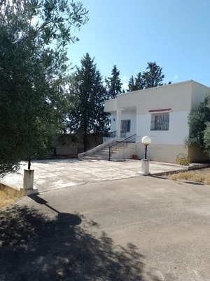 URGENT Vente terrain agricole