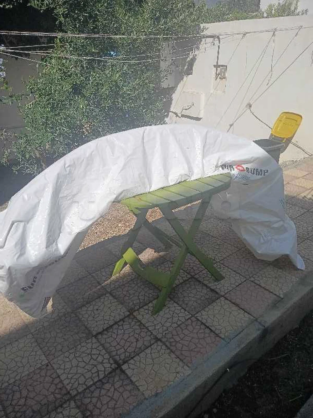 selected image