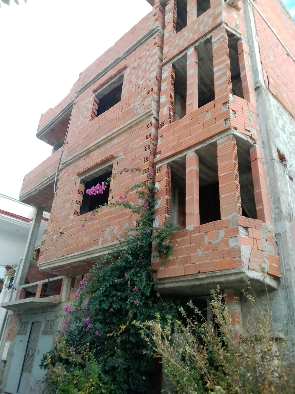 selected image