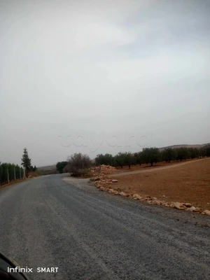 un terrain d'agricole de 8 hectares a vendre situé a Mahfoura Jedaida