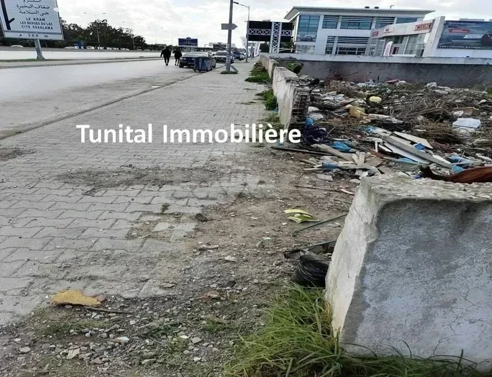 selected image