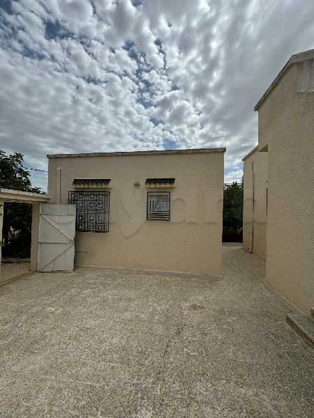 selected image