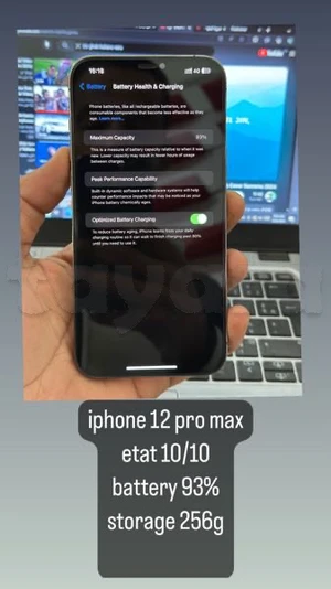 iphone 12 pro max 256g