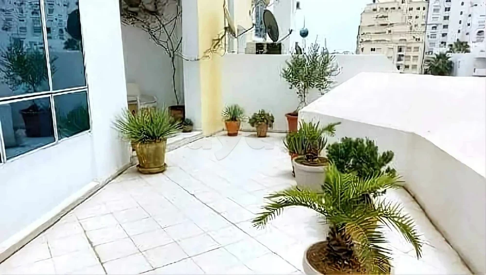 selected image